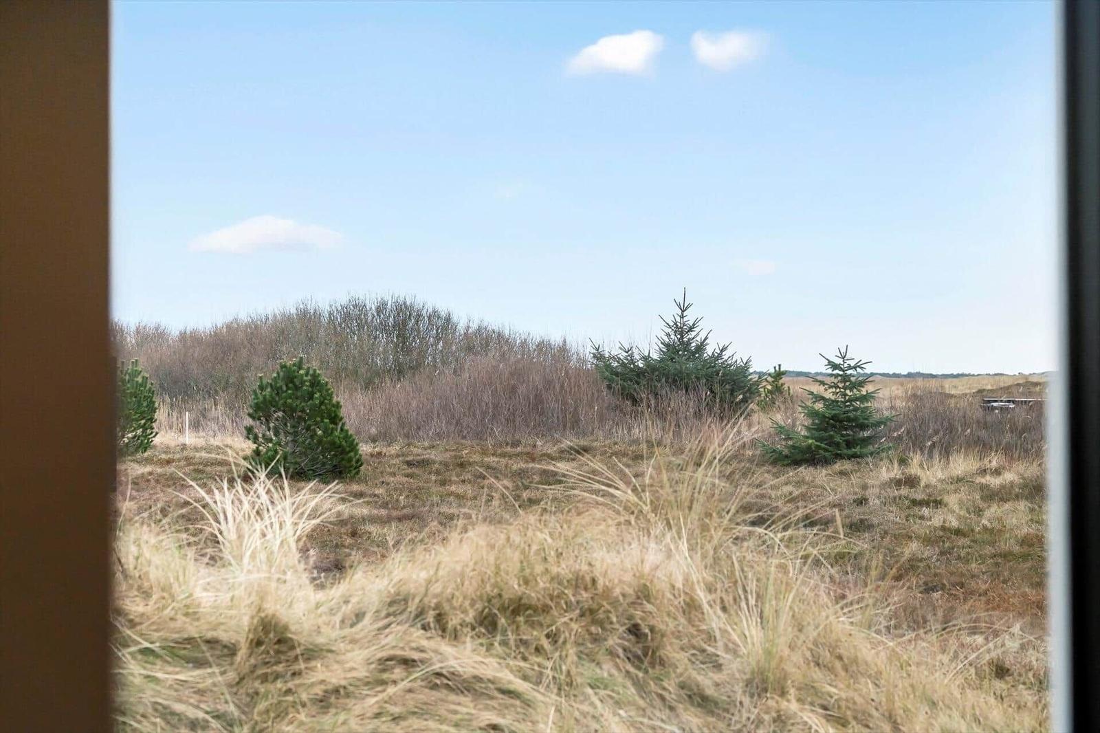 Through the window, a grassy landscape with trees and a clear sky is visible.