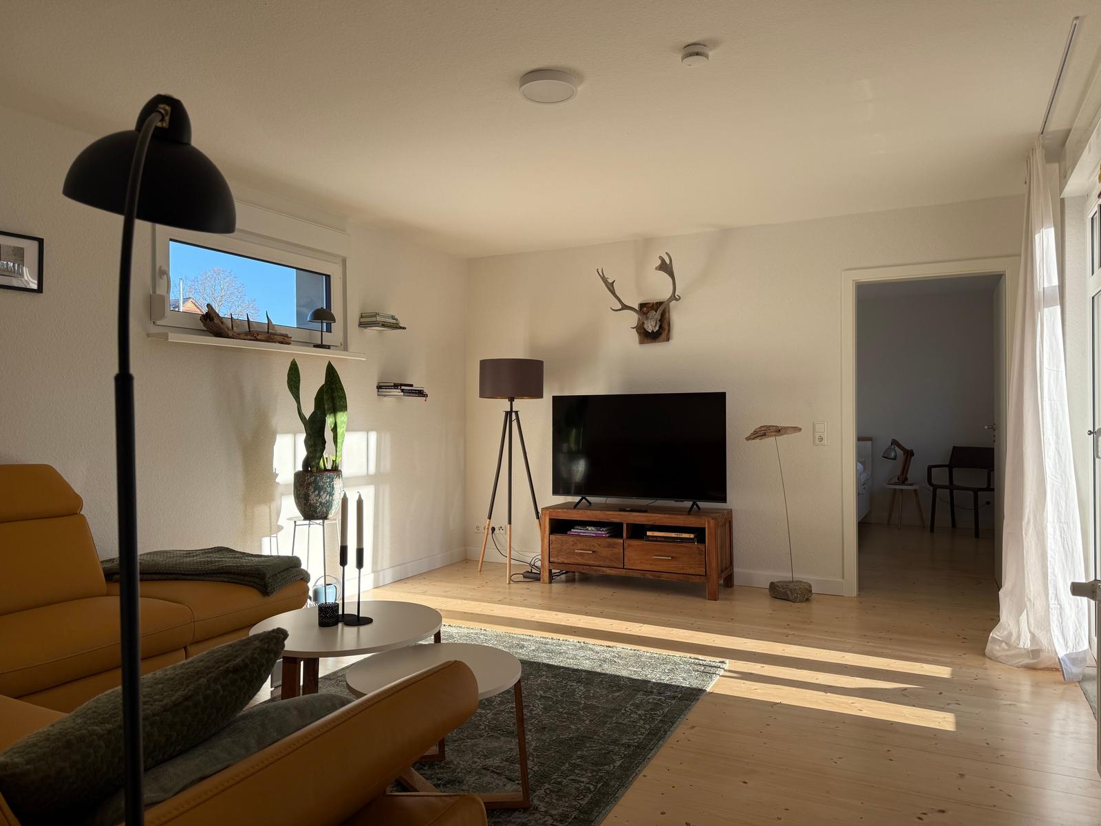 Wohnzimmer mit Sofa, TV und Holzboden. Durchgang in Schlafzimmer.