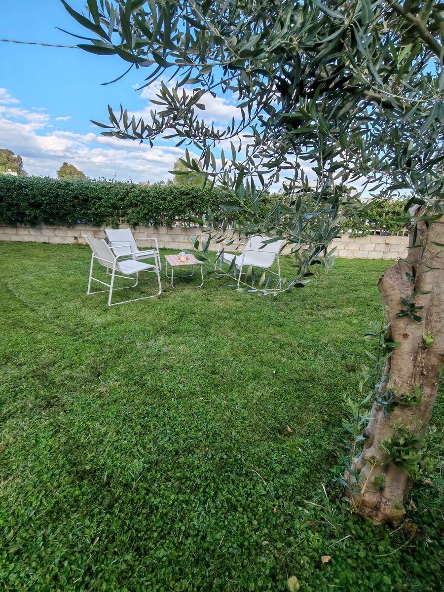 Garden with two white chairs and table under olive tree.
