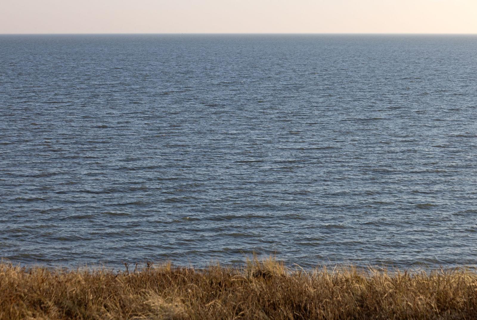 Weitläufiger Blick auf ruhiges Meer mit trockenem Gras am Ufer.