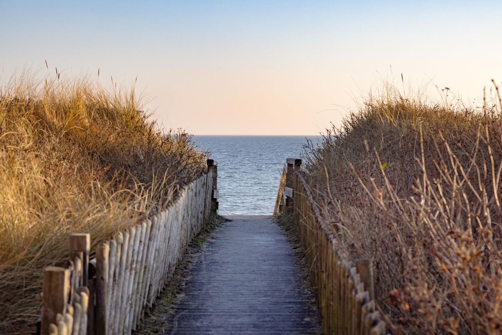 Holzweg führt durch Dünen zur See