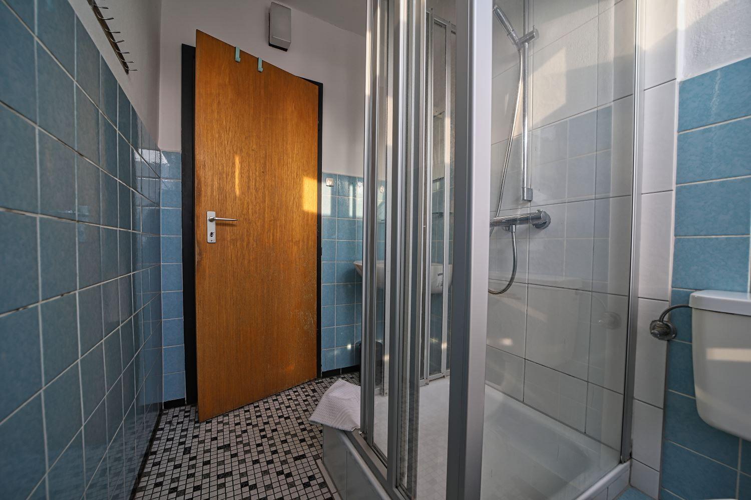 Badezimmer mit Dusche, Toilette und Holztür.