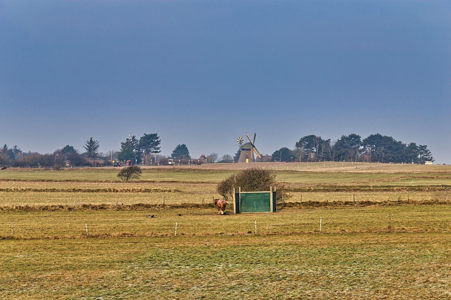 Weite Felder mit Windmühle im Hintergrund und Pferd in der Ferne.