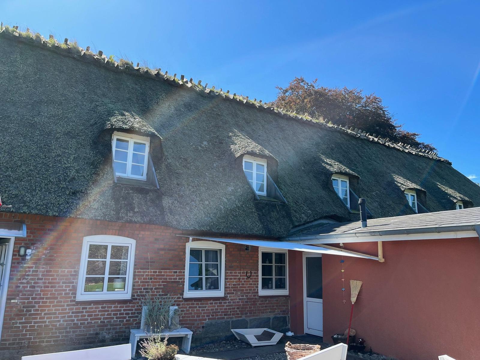 House with thatched roof, white windows, and red plaster on the side.