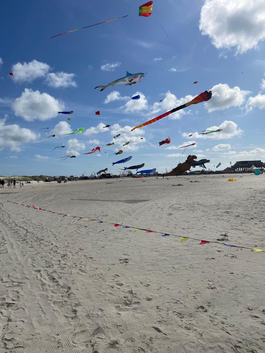 Strand mit vielen bunten Drachen im Himmel und Sandstrand im Vordergrund.