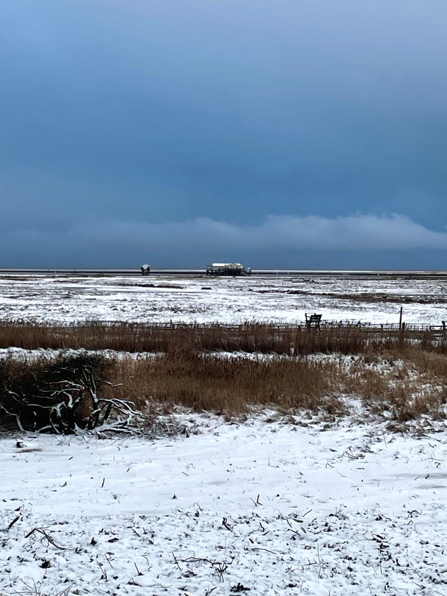 Schneebedecktes Feld mit Blick auf Wasser und Gebäude im Hintergrund.