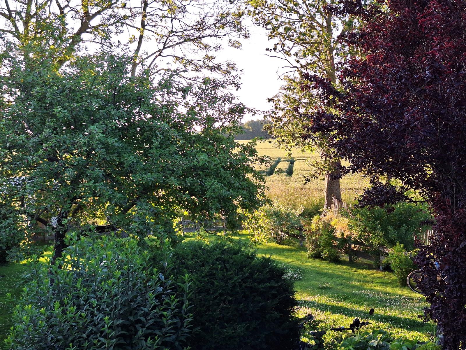 Blick von oben in den Garten