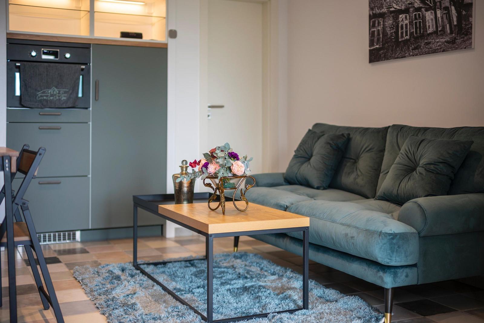 Wohnbereich mit Sofa, Tisch und Küchenzeile