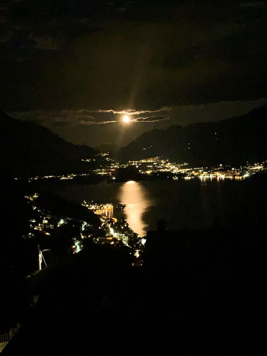 Nachtansicht über einen See mit Mond und beleuchteten Ortschaften