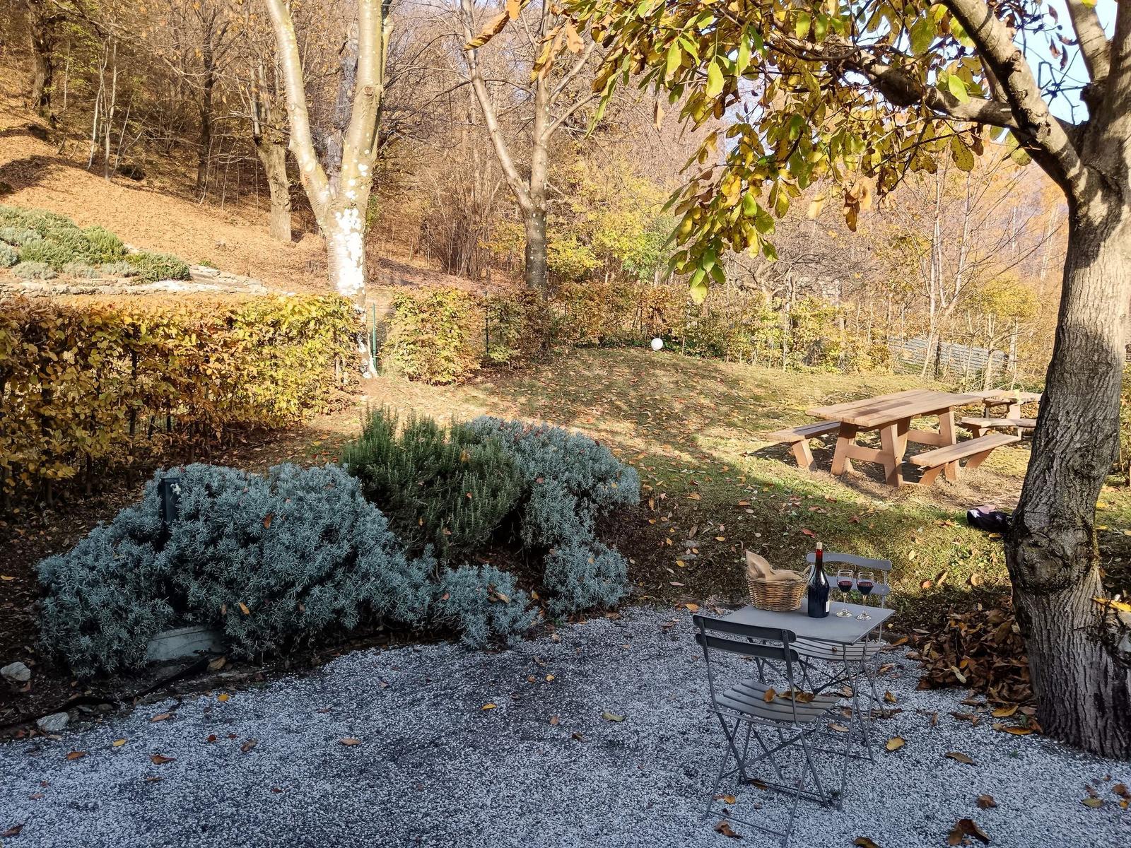 Garten mit Tisch, Stühlen und Picknicktisch unter Bäumen.