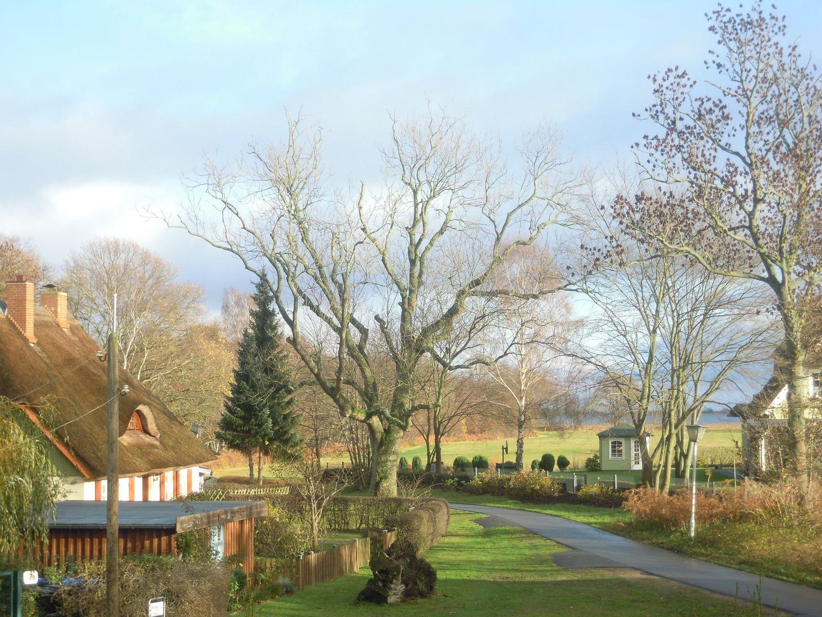 Weg führt durch grüne Landschaft mit Bäumen und Häusern.