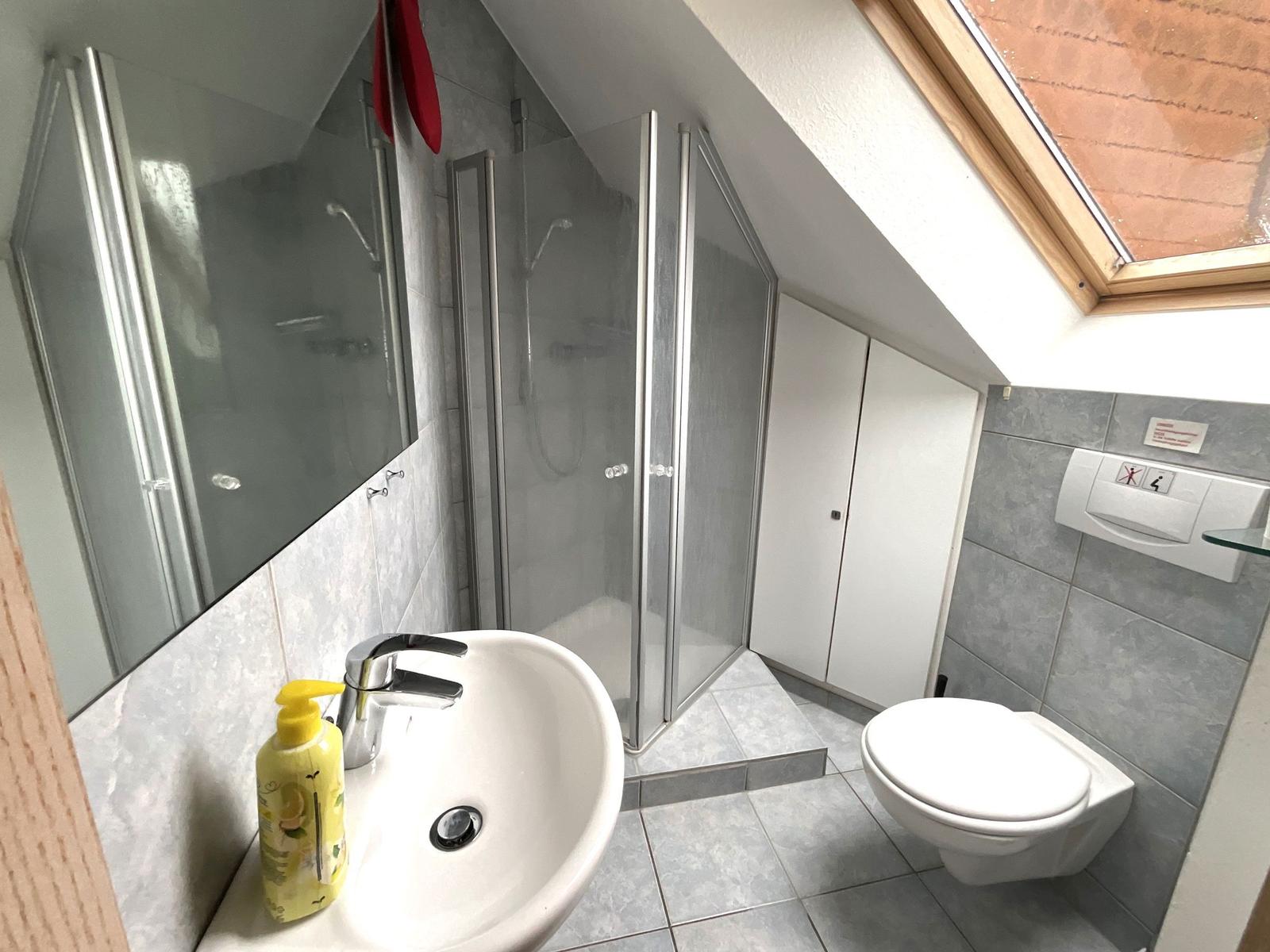 Badezimmer mit Dusche, Waschbecken und Toilette unter Dach