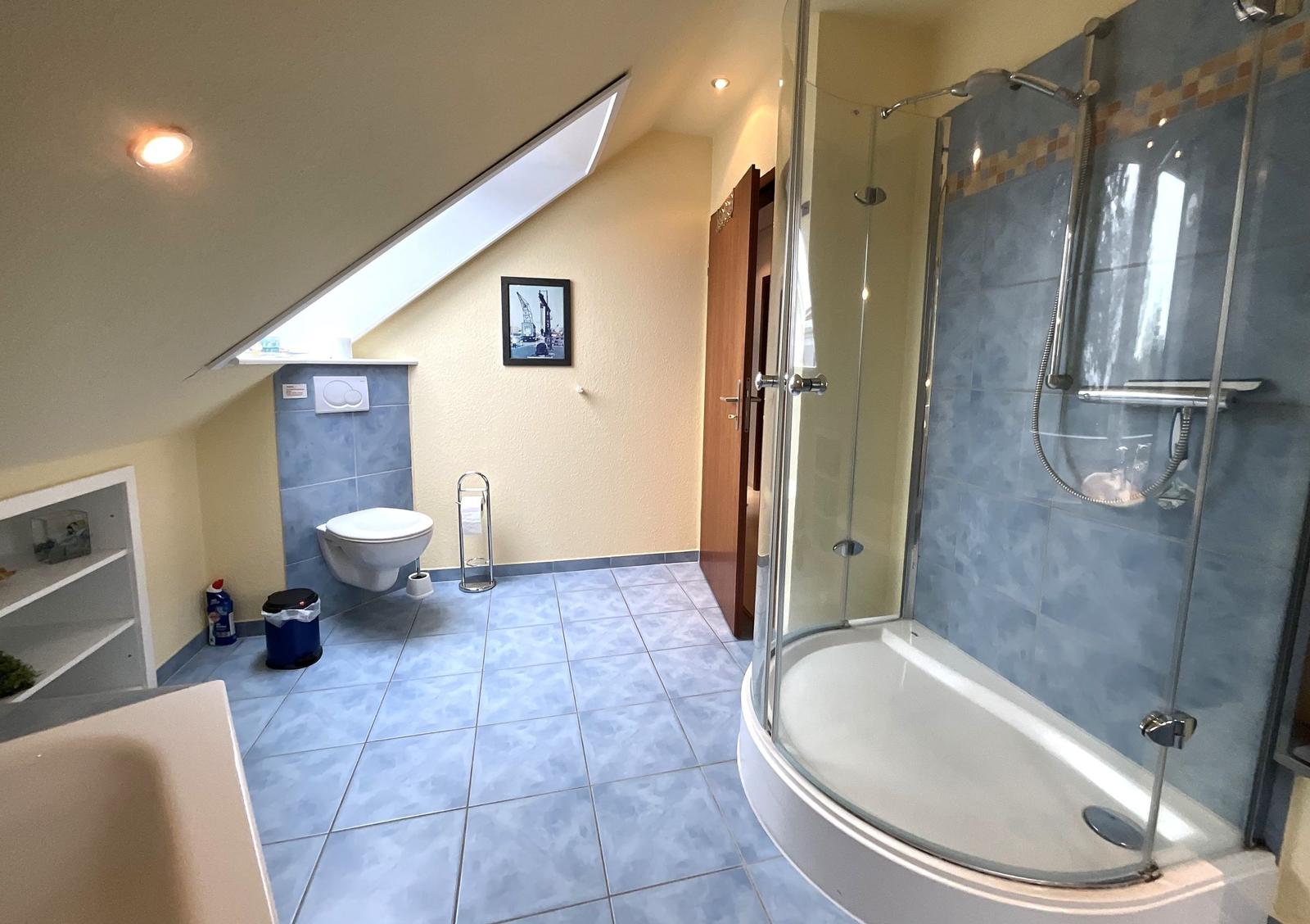 Badezimmer mit Dusche, Toilette und Dachfenster.