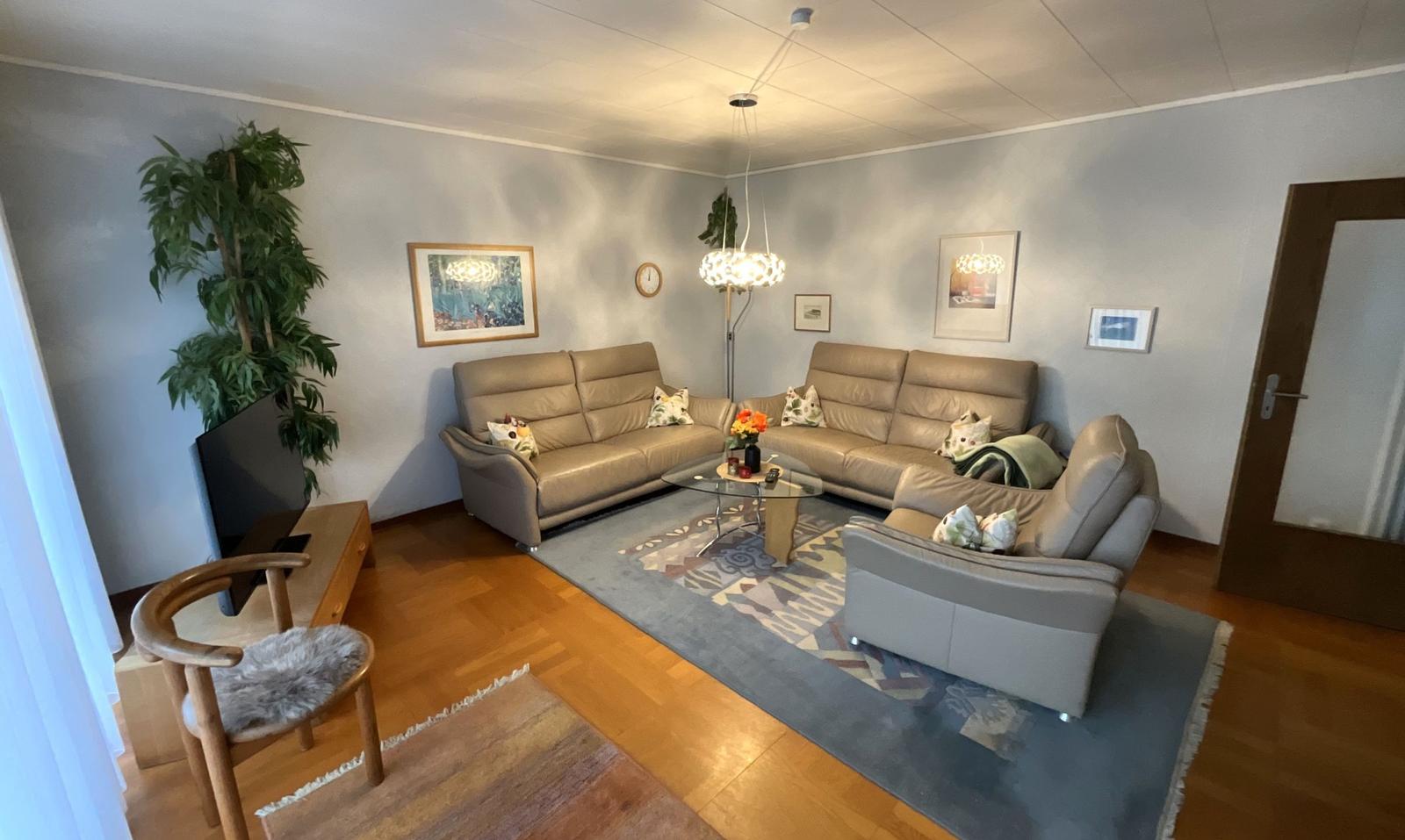 Wohnzimmer mit Leder-Sofa, Teppich und Fernseher.