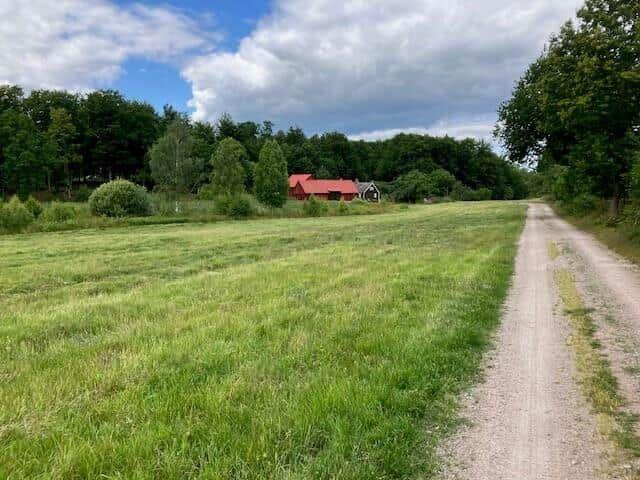 Haus mit rotem Dach liegt am Waldrand. Grasland und unbefestigter Weg führen dorthin.