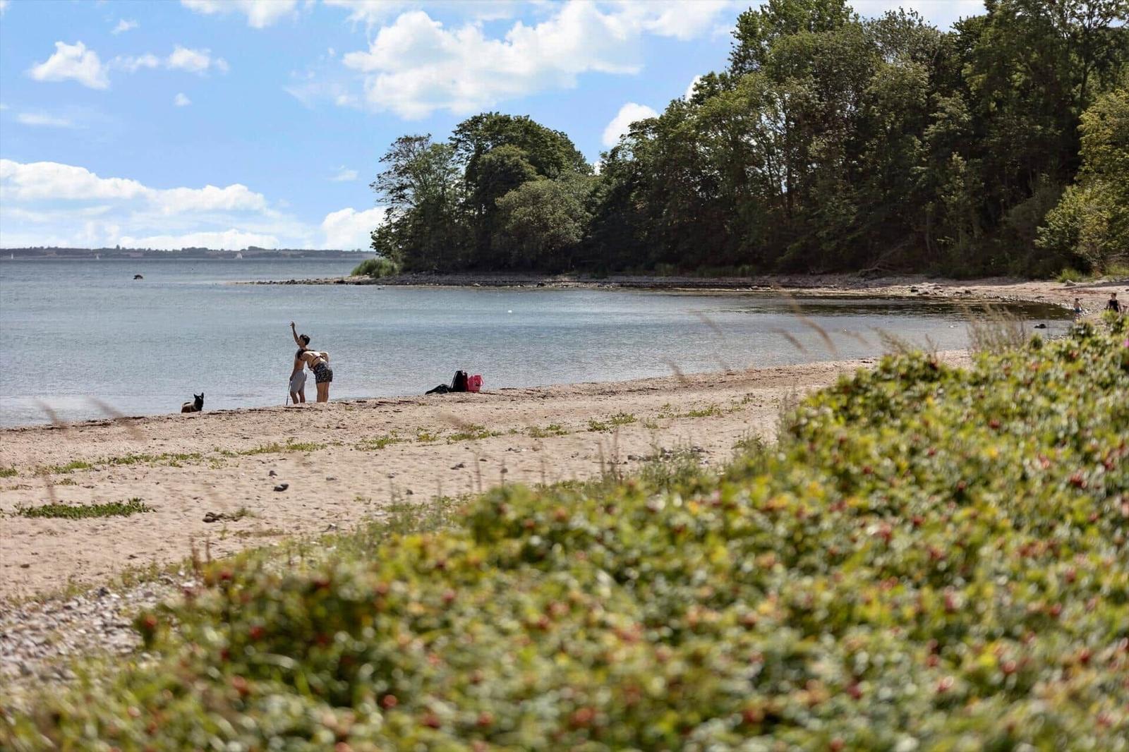 Beach with people and dog near water, surrounded by trees and greenery.