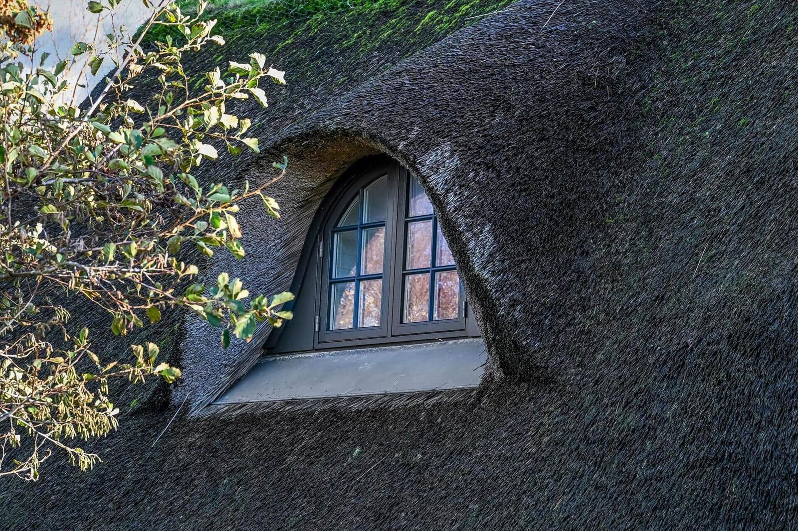 Fenster in einem Strohdachhaus mit grüner Vegetation