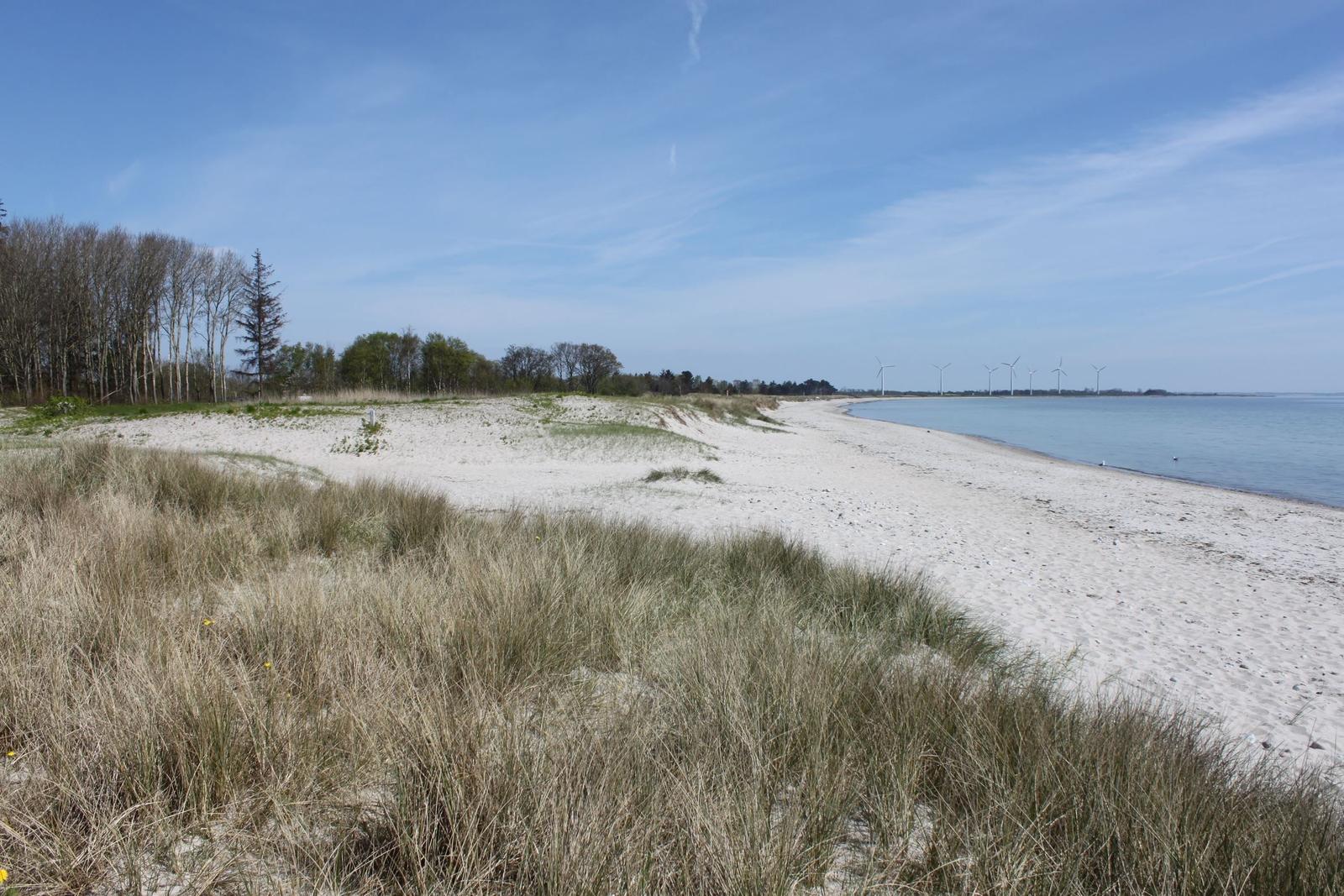 Weißer Sandstrand mit Dünen und Windkraftanlagen im Hintergrund.