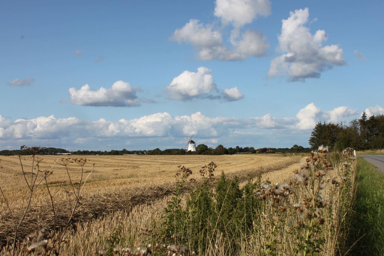 Weite Felder unter blauem Himmel mit Windmühle im Hintergrund