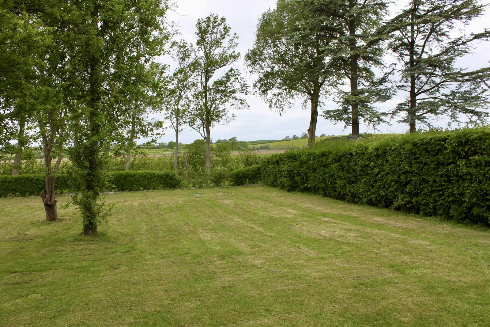 Grüner Rasenbereich mit Bäumen und Hecken im Hintergrund.