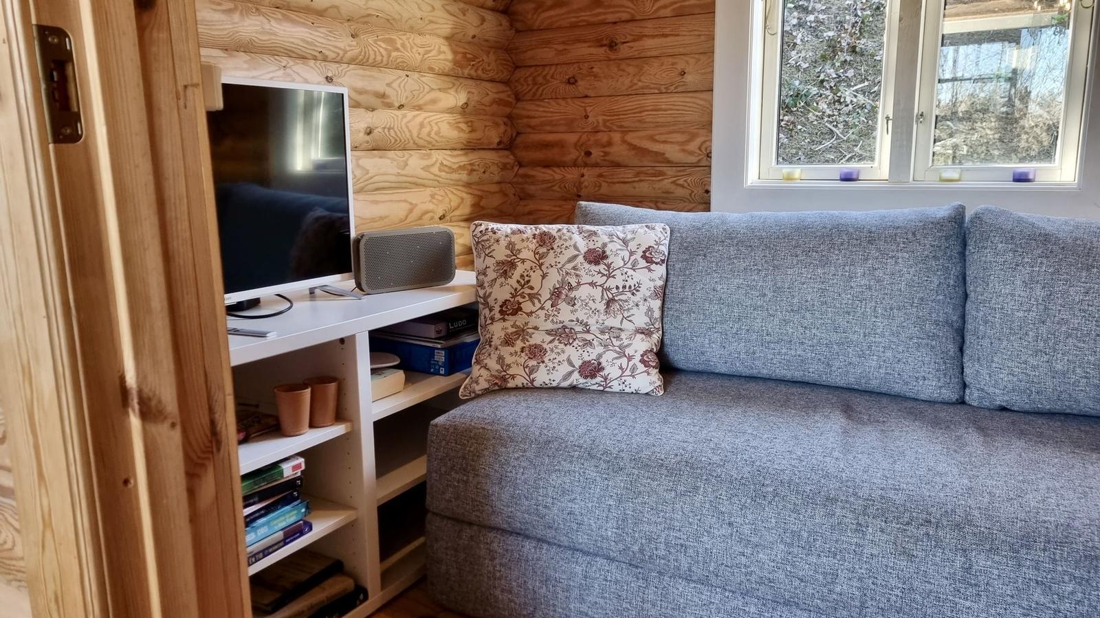 Ein grauer Sofa mit Kissen, Fernseher und Bücherregal in einem Holzhaus.