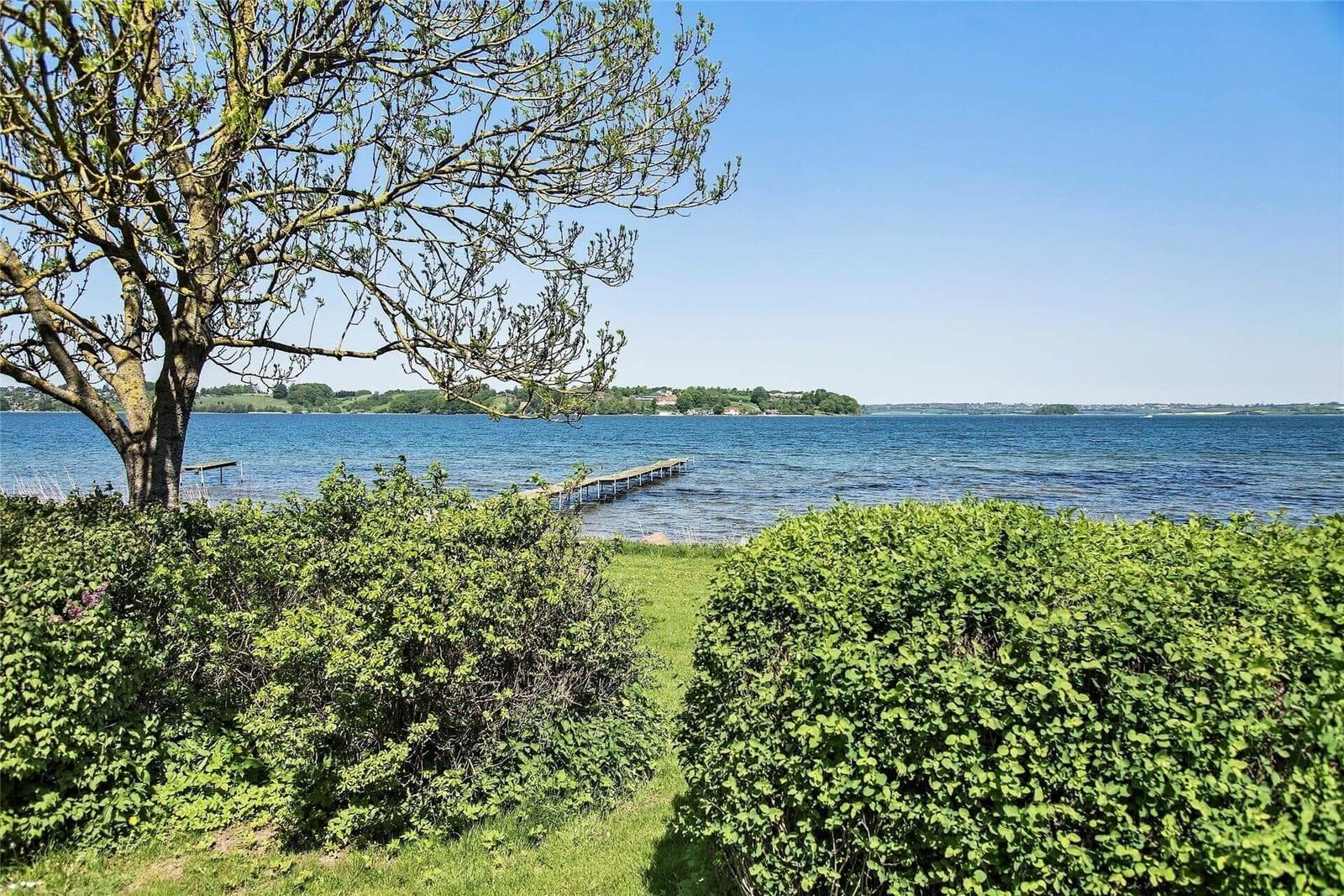 Blick auf einen See mit Steg und Baum im Vordergrund.