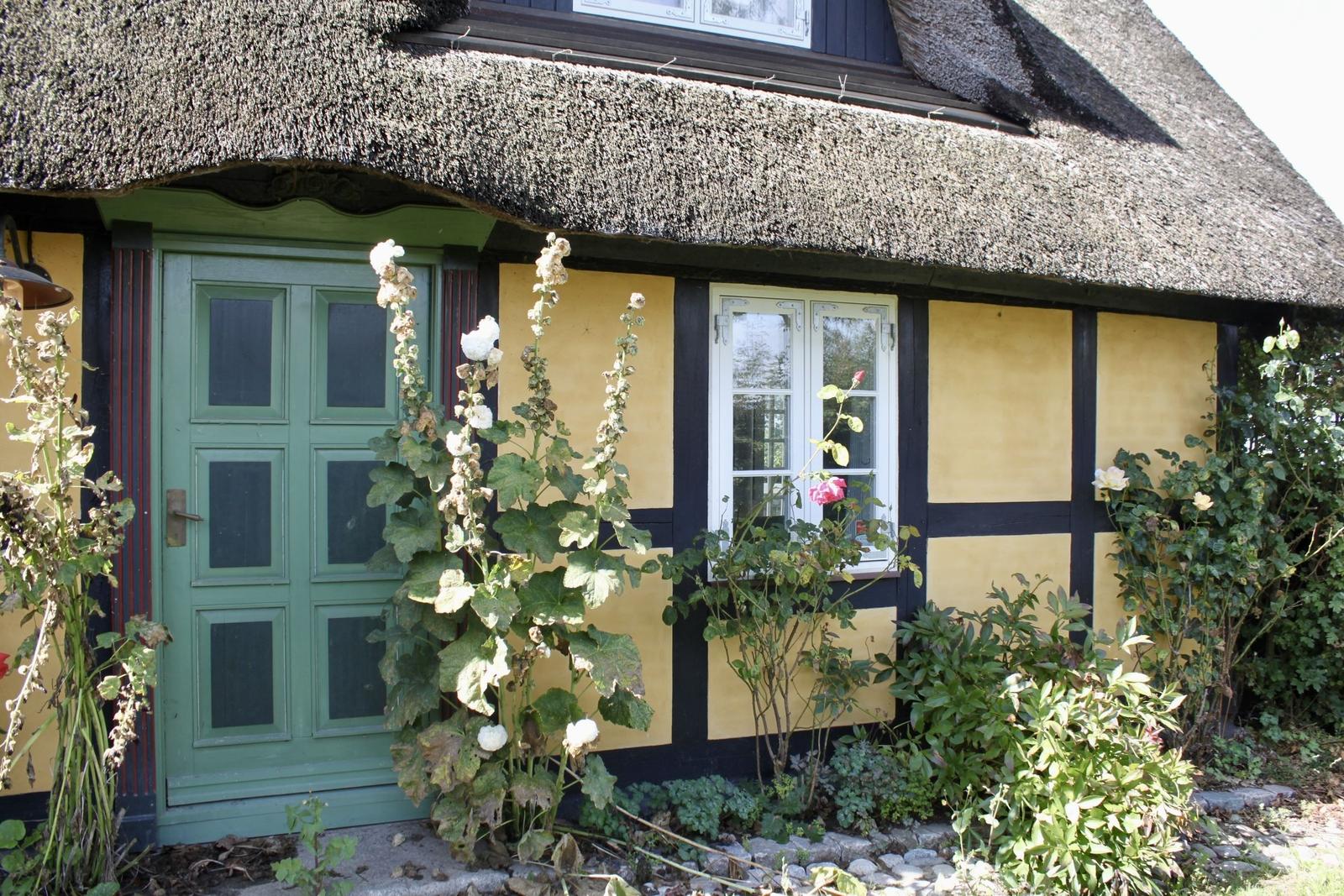 Ein Haus mit strohgedecktem Dach, gelben Wänden und grüner Tür. Vor dem Haus blühen Rosen.