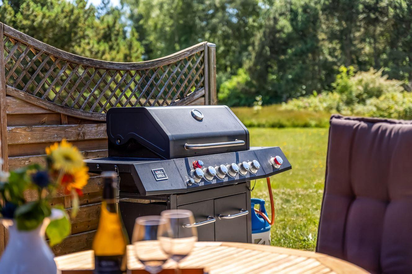 Außenbereich mit Grill, Tisch, Stühlen und Blumen. Hintergrund: grüner Garten.