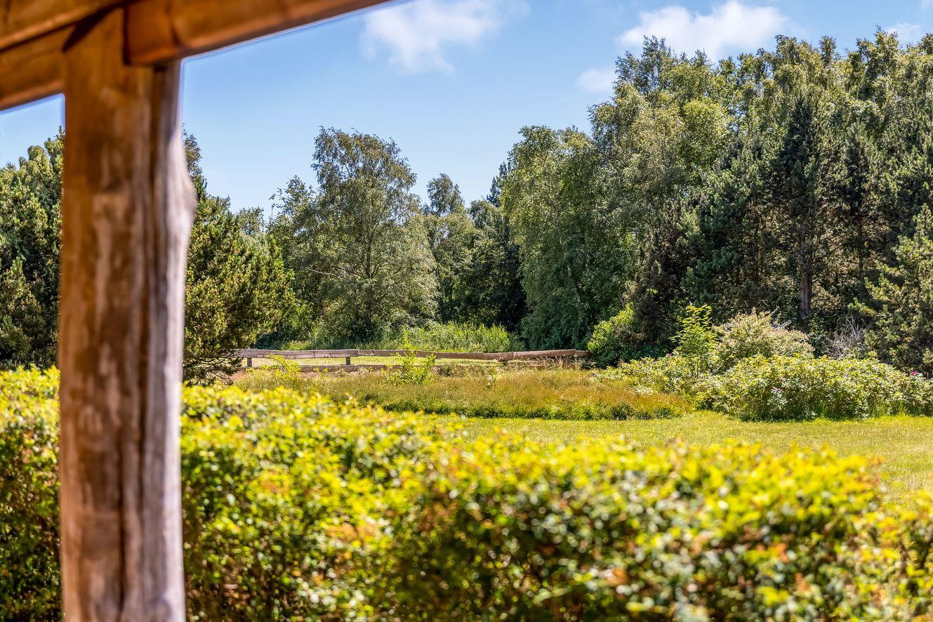 Von einem Holzrahmen aus blickt man auf einen grünen Garten mit Bäumen und Sträuchern.