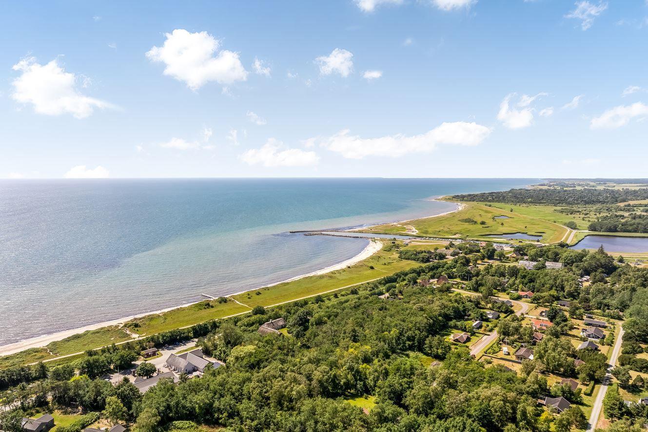 Aerial view of coastal area with beach, greenery, and scattered houses.