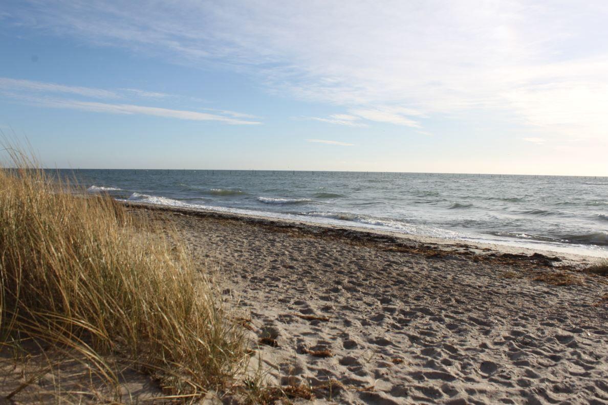 Strand mit Sand und Dünengras am Meer unter blauem Himmel.