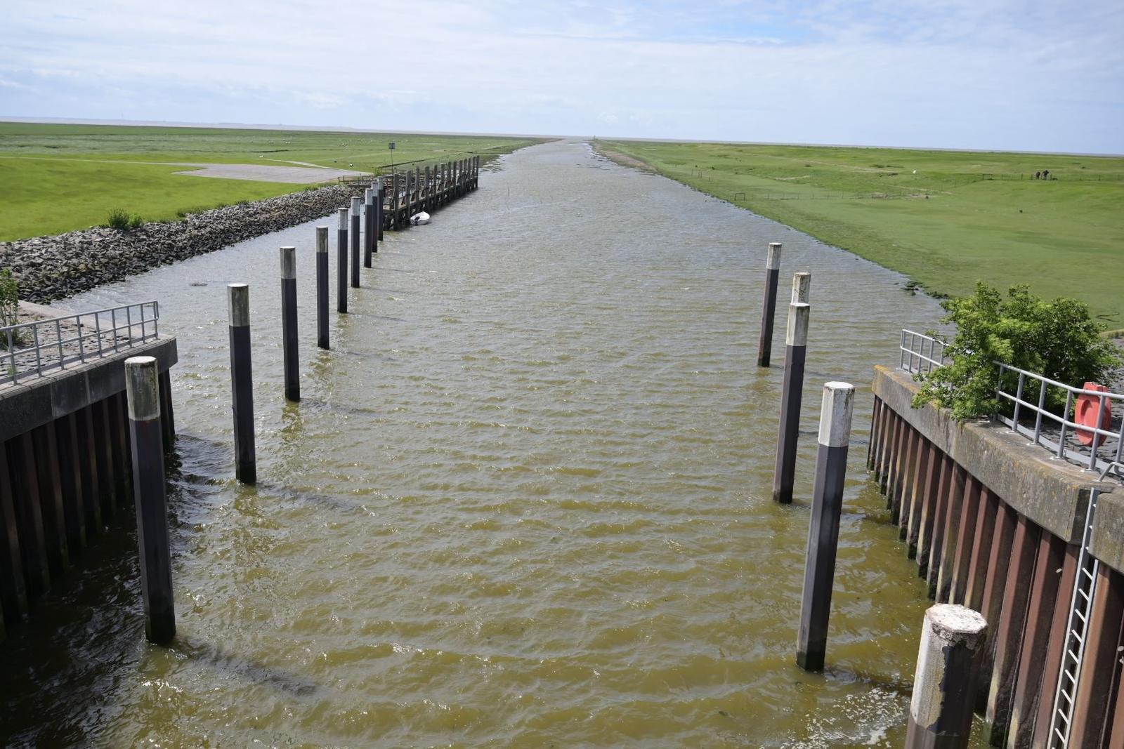 Wasserkanal mit Pfählen und grünen Uferbereichen.