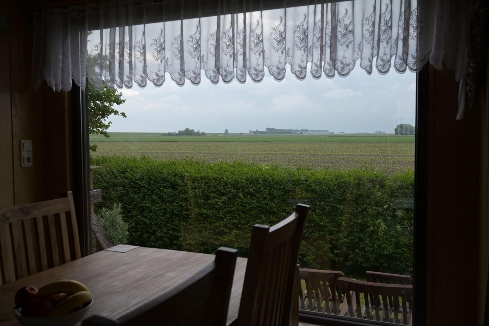 Durch das Fenster blickt man auf ein grünes Feld und einen Heckenrand.