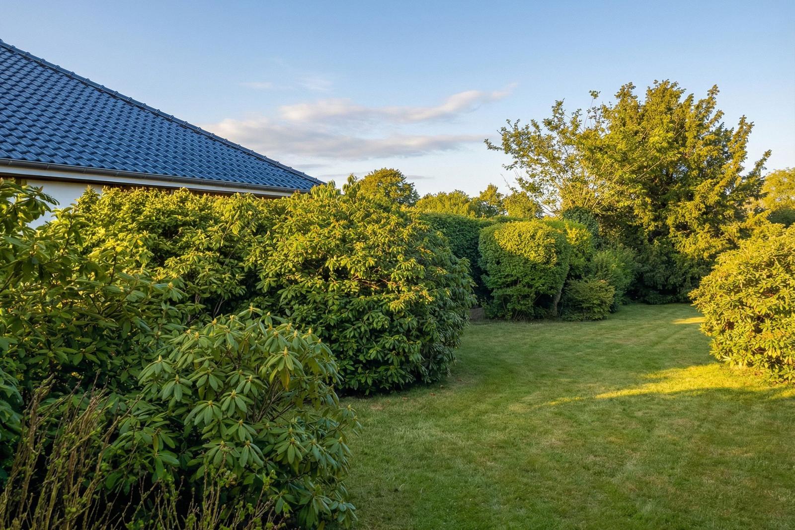 Garten mit Rasenfläche, Sträuchern und blauem Dach im Hintergrund.