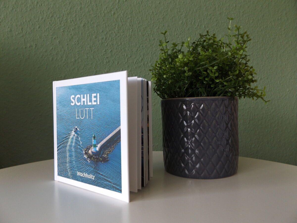 A book showing Schlei and Lütt sits next to a plant in a dark pot.