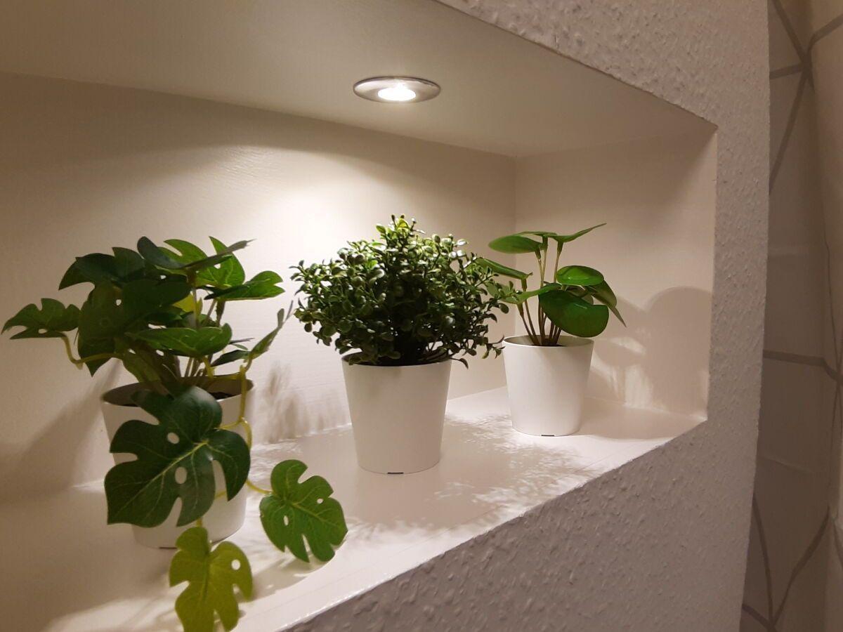 Three plants in white pots on a recessed shelf with built-in lighting.