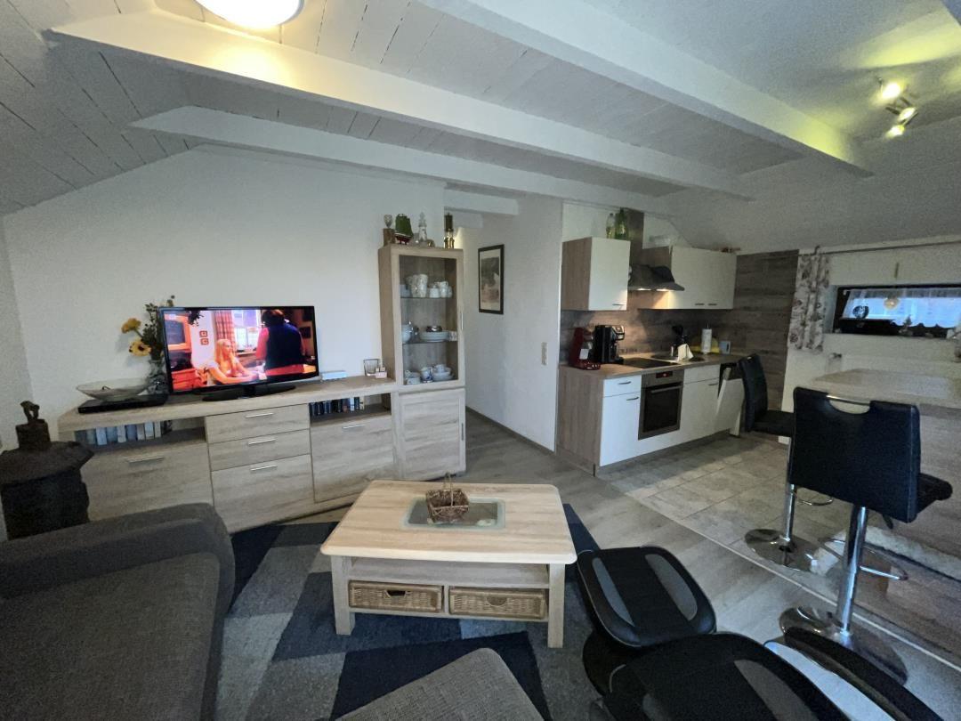 Living and kitchen area with TV, sofa, and dining table