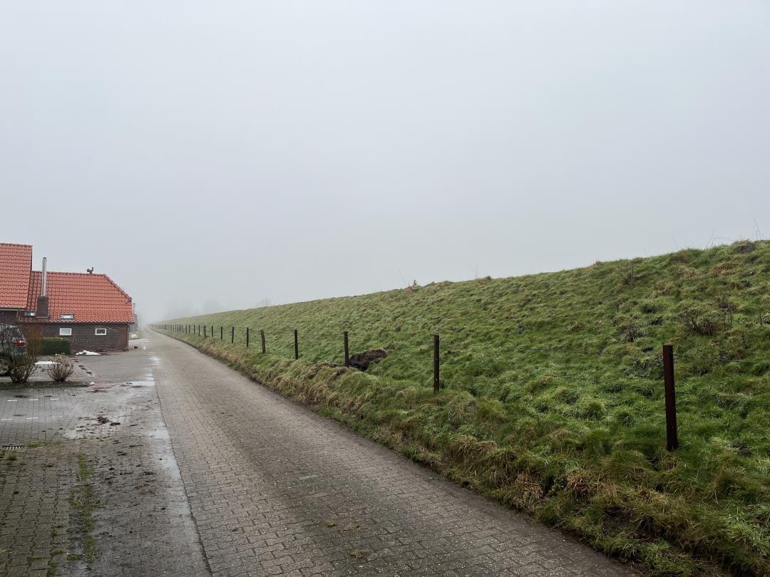 View of a road with grassy slopes and a house on the left