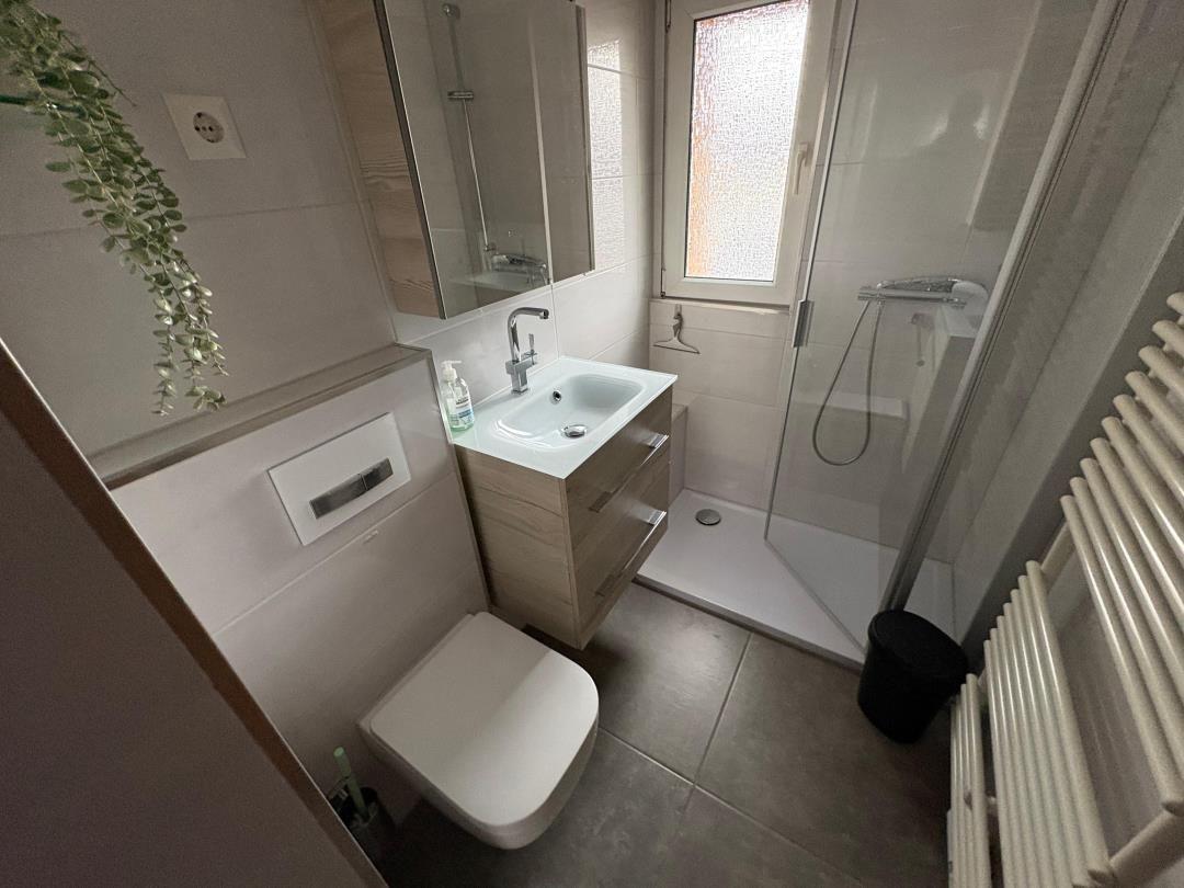 Bathroom with shower, sink and toilet
