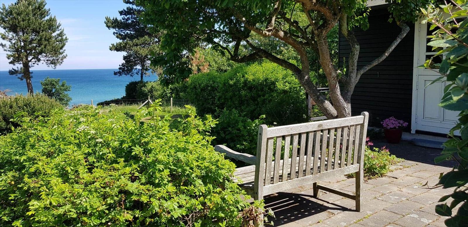 Holzbank unter Baum mit Blick auf das Meer.