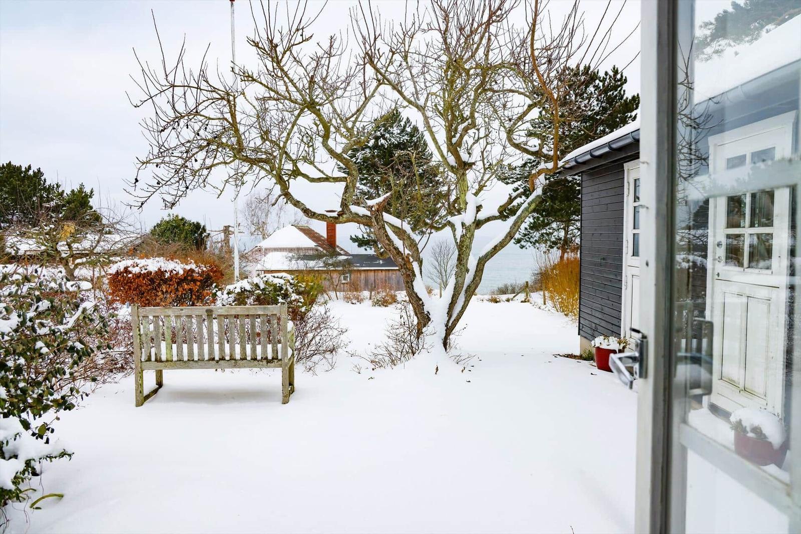 Schnee bedeckt den Garten mit Bank und Baum. Haus mit weißen Türen und Fenstern.