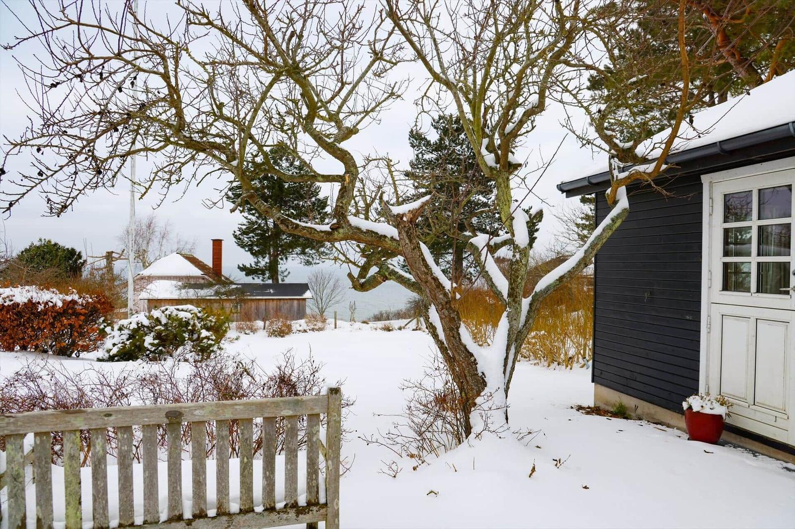 Schneelandschaft mit schwarzem Haus, weißer Tür und kahlen Bäumen.