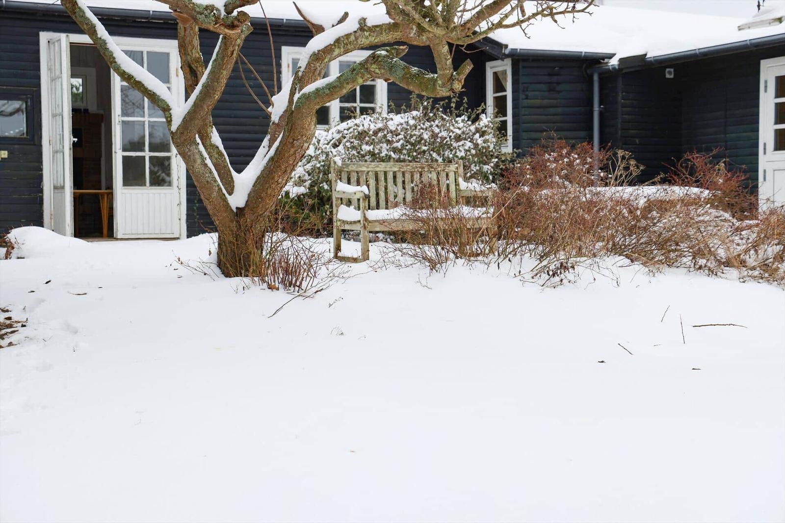 Schnee bedeckt einen Garten mit Bank und Baum vor einem Haus.