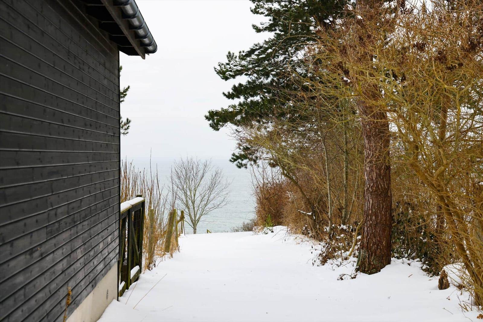 Schneebedeckter Weg führt vom Haus zur Küste durch Bäume.