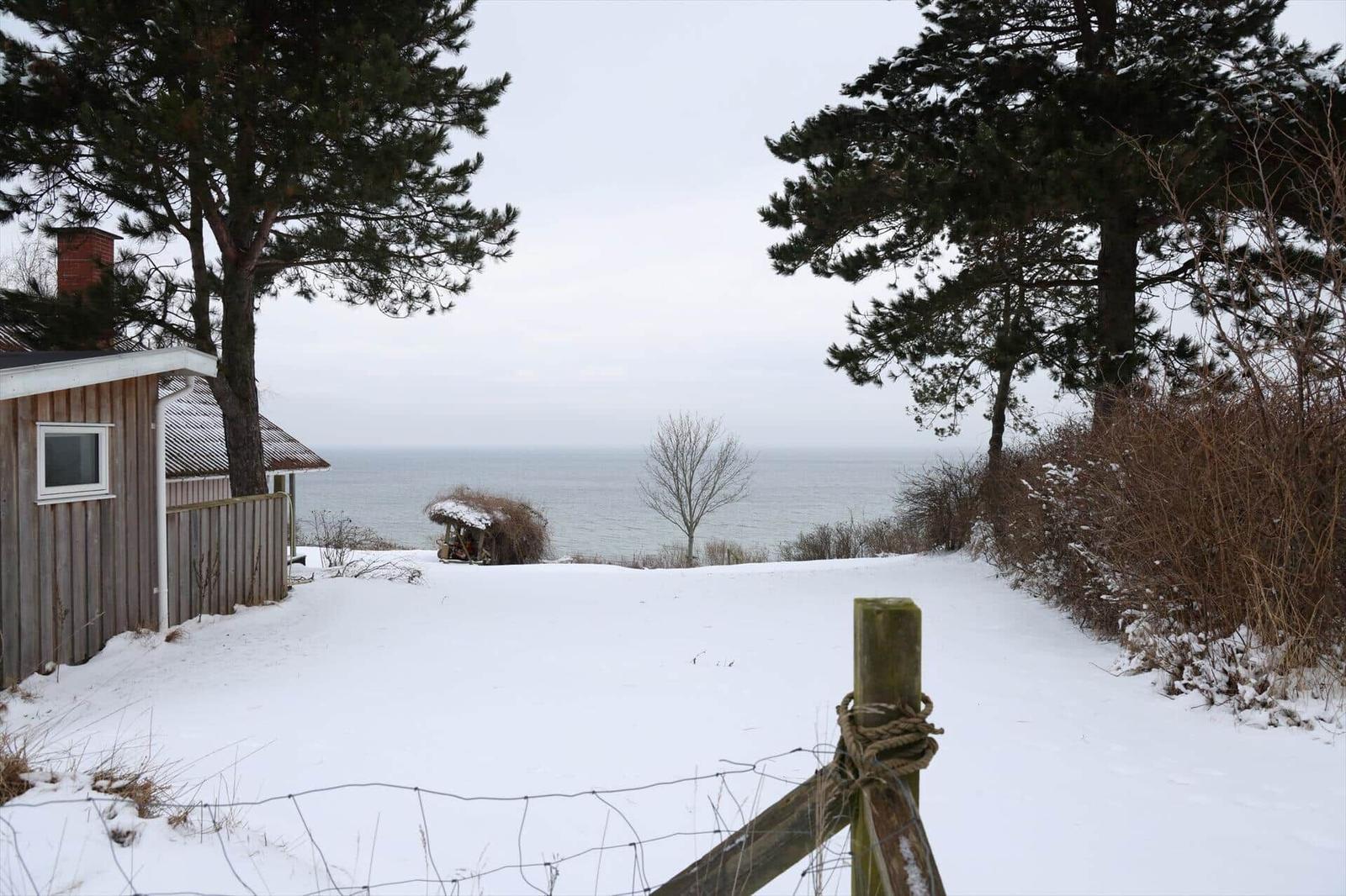 Schneebedeckter Weg führt zu einem See mit Holzhaus und Bäumen.