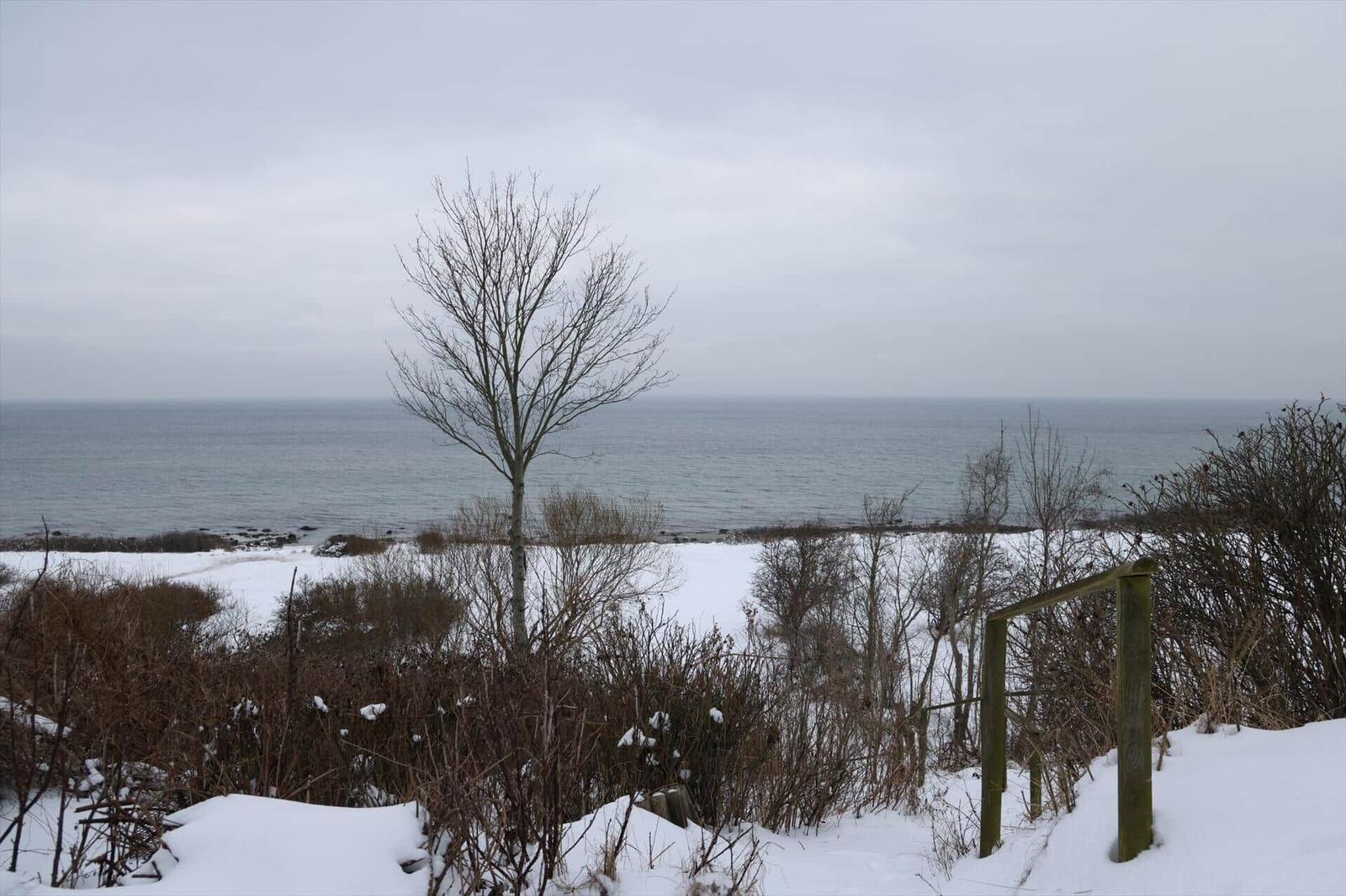 Schneebedeckter Blick auf das Meer mit kahlen Bäumen und Sträuchern.