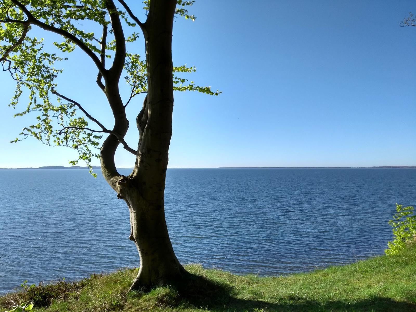 Der Große Jasmunder Bodden