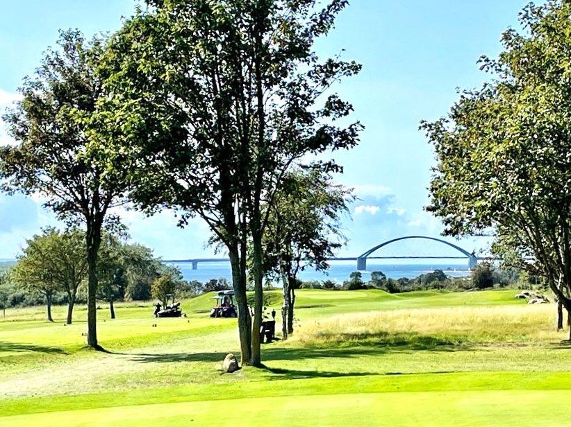 Der Golfplatz am Haus mit herrlichem Blick auf die Ostsee und die Fehmarnsundbrücke