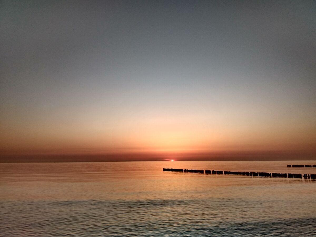 Sonnenuntergang über ruhigem Meer mit Holzpfählen im Vordergrund.