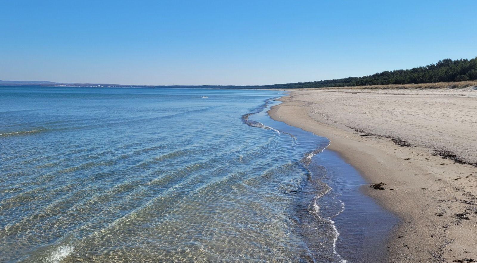 Strand an der Schaabe